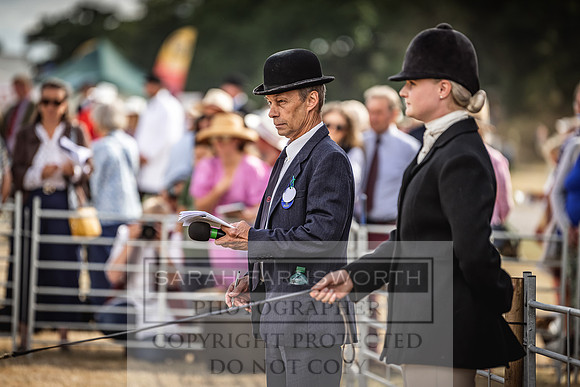 Honiton Hound Show 2022-23
