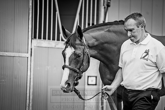 Goffs London Sale 2016-127