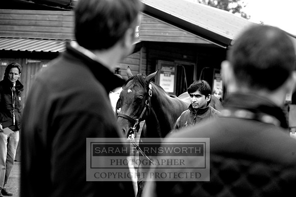 DBS 310811 091 bw