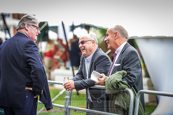 Goffs London Sale 2016-75