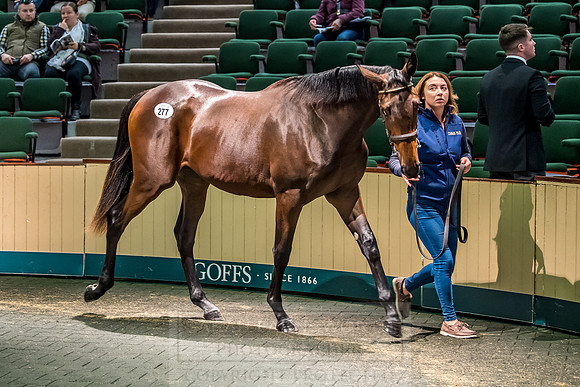 Goffs Orby 2018 Day 2-109