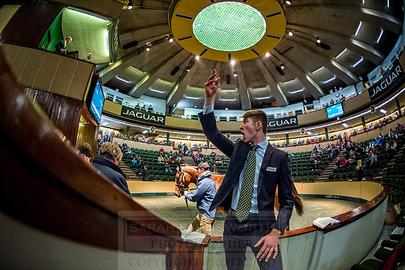Goffs Orby 2018 Day 1-291