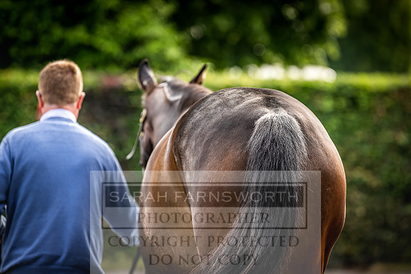 Goffs Land Rover Sale 2022-13