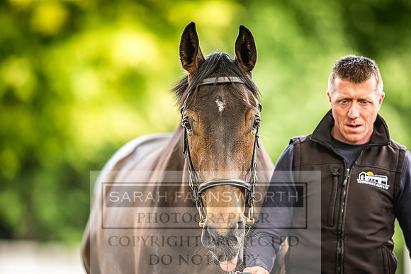 Goffs Land Rover Sale 2022-489