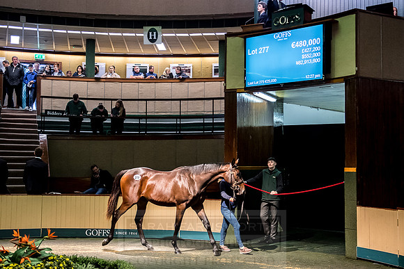 Goffs Orby 2018 Day 2-110