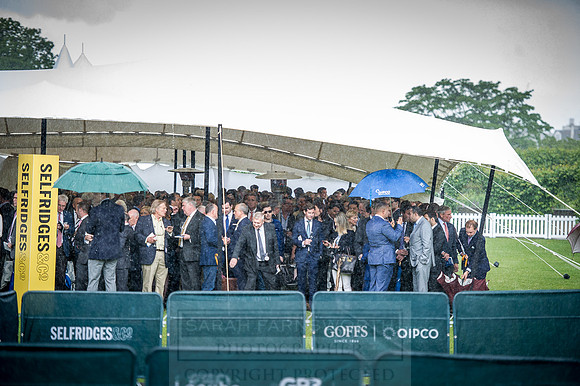 Goffs London Sale 2016-329