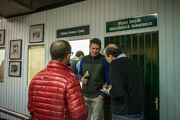 Goffs Orby 2015 -258