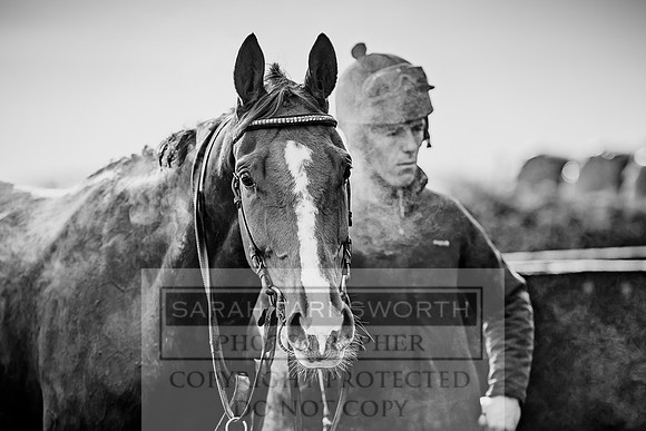 Colin Bowe-147