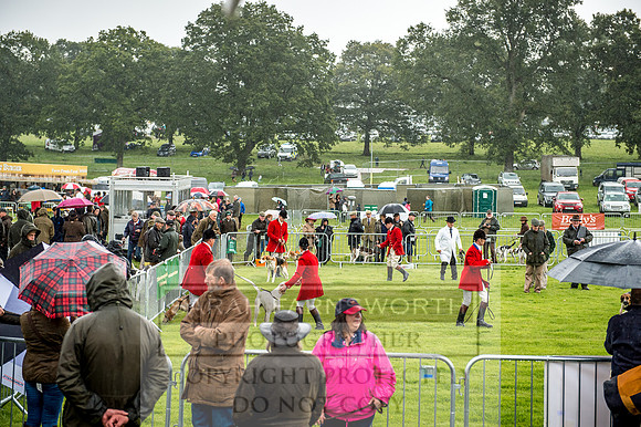 Lowther Hound Show 2017-9