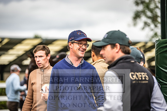 Goffs Land Rover Sale 2022-438