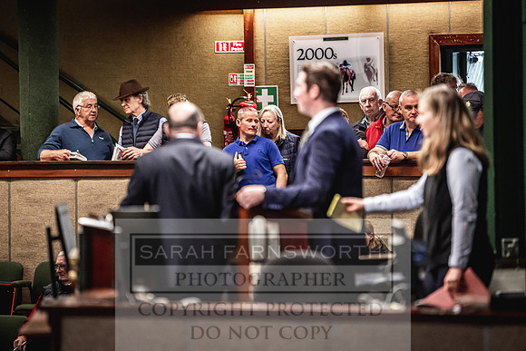 Goffs Land Rover Sale 2022-267