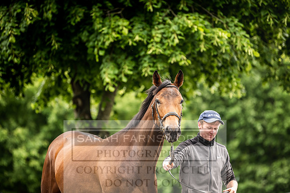 Goffs Land Rover Sale 2022-392