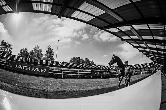 Goffs Orby 2015 -586 bw