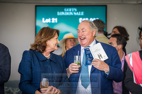 Goffs London Sale 2016-333