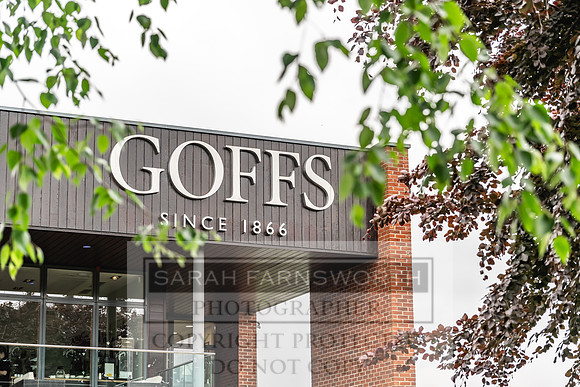 Goffs UK Spring Sale 2024-110