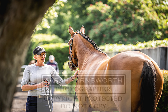 Goffs Land Rover Sale 2022-161