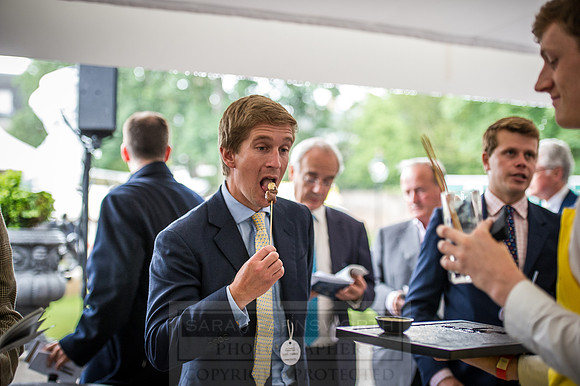 Goffs London Sale 2016-321