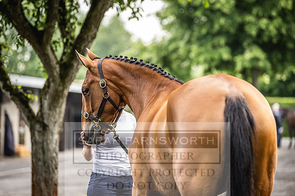 Goffs Land Rover Sale 2022-49