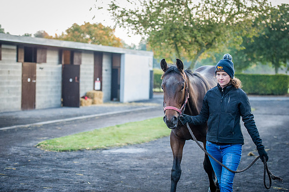 Goffs Orby 2015 -74