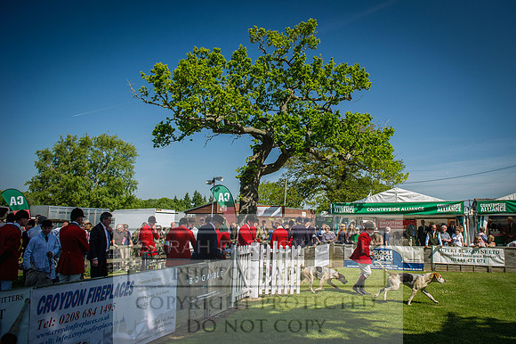 Ardingly Foxhounds 2015-20
