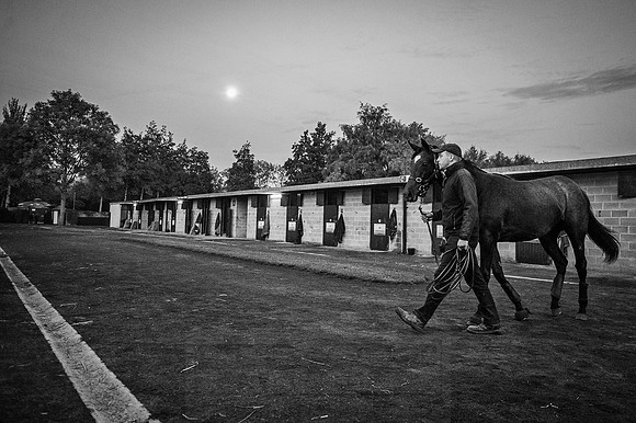Goffs Orby 2015 -37 bw