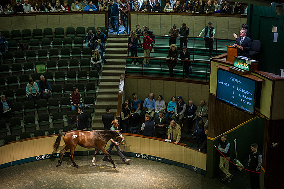 Goffs Orby 2015 -635
