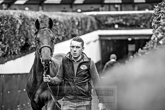 Goffs Orby 2018 Day 1-178