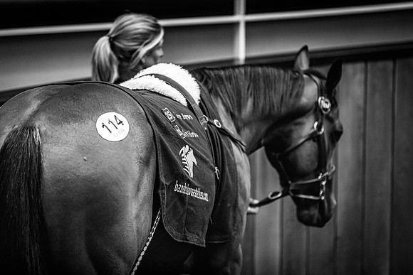 Goffs UK Breeze Up 2022-294