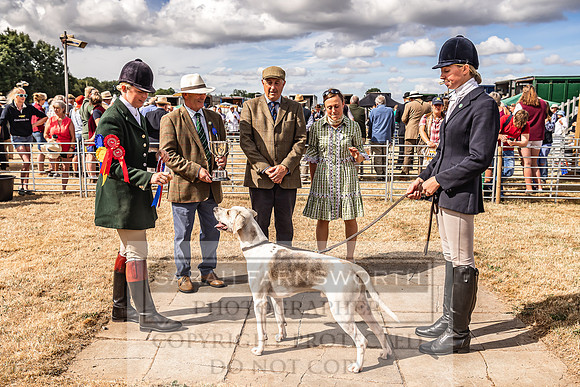 Honiton Hound Show 2022-70