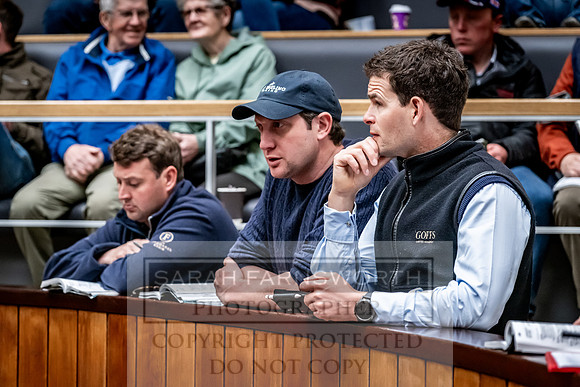 Goffs UK Spring Sale 2024-130