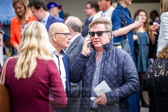 Goffs London Sale 2016-200