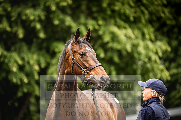 Goffs Land Rover Sale 2022-240