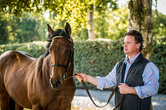 Goffs Orby 2015 -621