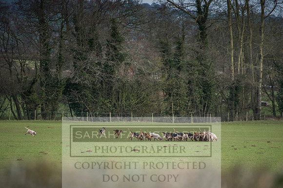 Ludlow 261215-518
