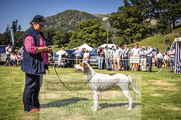 Rydal Hound Show 2022-98