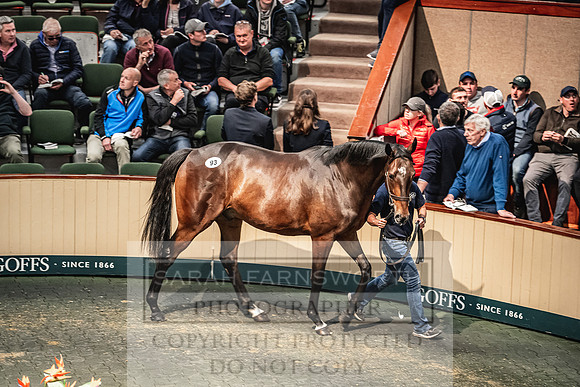 Goffs Land Rover Sale 2022-296