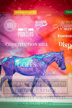 Goffs UK Spring Sale 2024-91