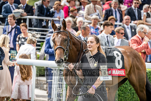 GUK Goodwood Sale 2019-83