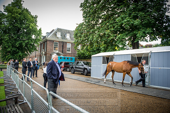 Goffs London Sale 2016-120