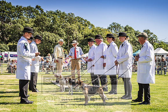 Rydal Hound Show 2022-162