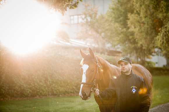 Goffs Orby 2015 -116