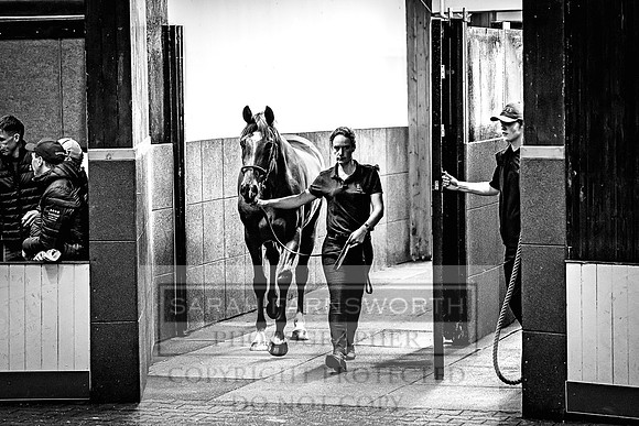 Goffs Land Rover Sale 2022-657