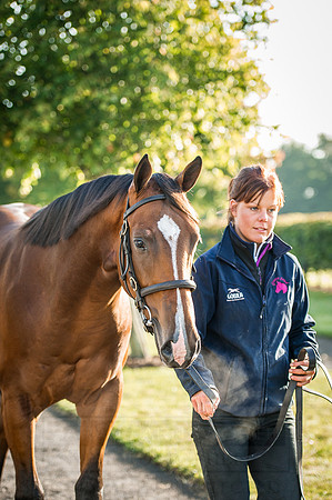 Goffs Orby 2015 -176