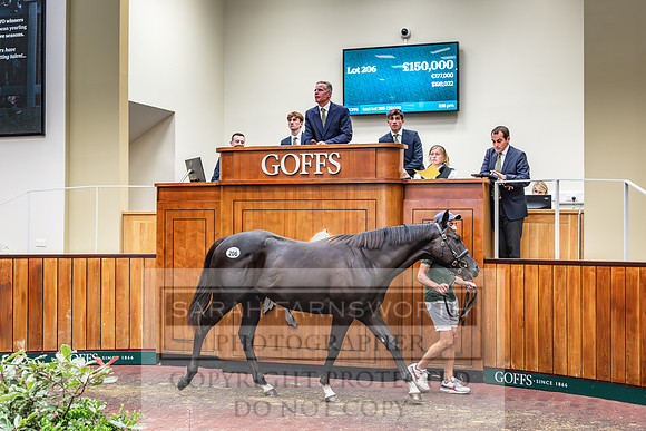 Goffs UK PY24-228