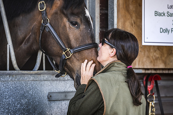 Goffs UK Spring Sale 22 Day 2-17