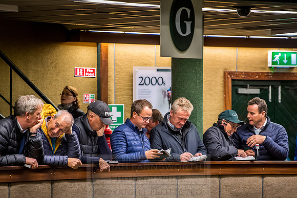 Goffs Orby 2018 Day 2-235