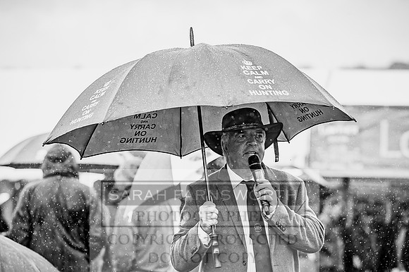 Lowther Hound Show 2017-29