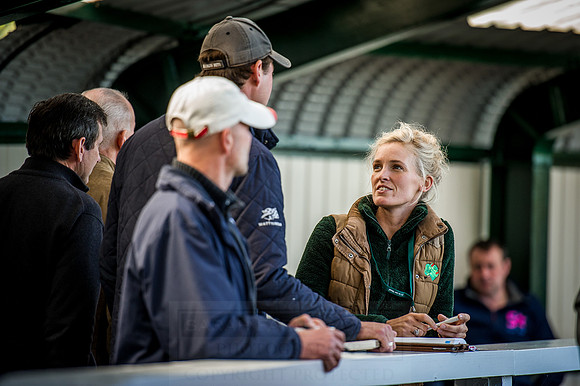 Goffs Orby 2015 -324