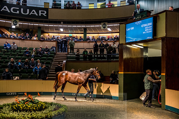 Goffs Orby 2018 Day 1-302