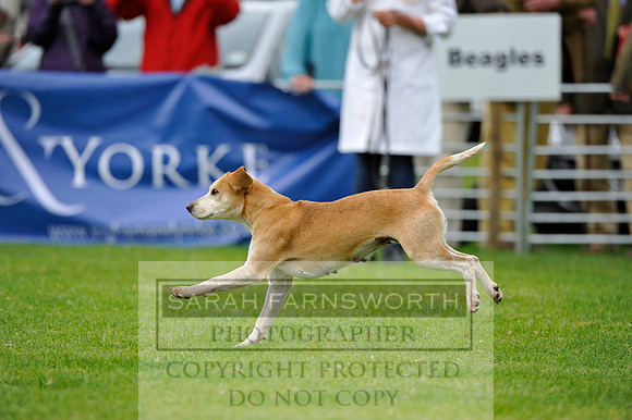 Rydal 2014 CF2 787